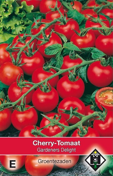 Tomaat Gardeners Delight (Solanum) 50 zaden